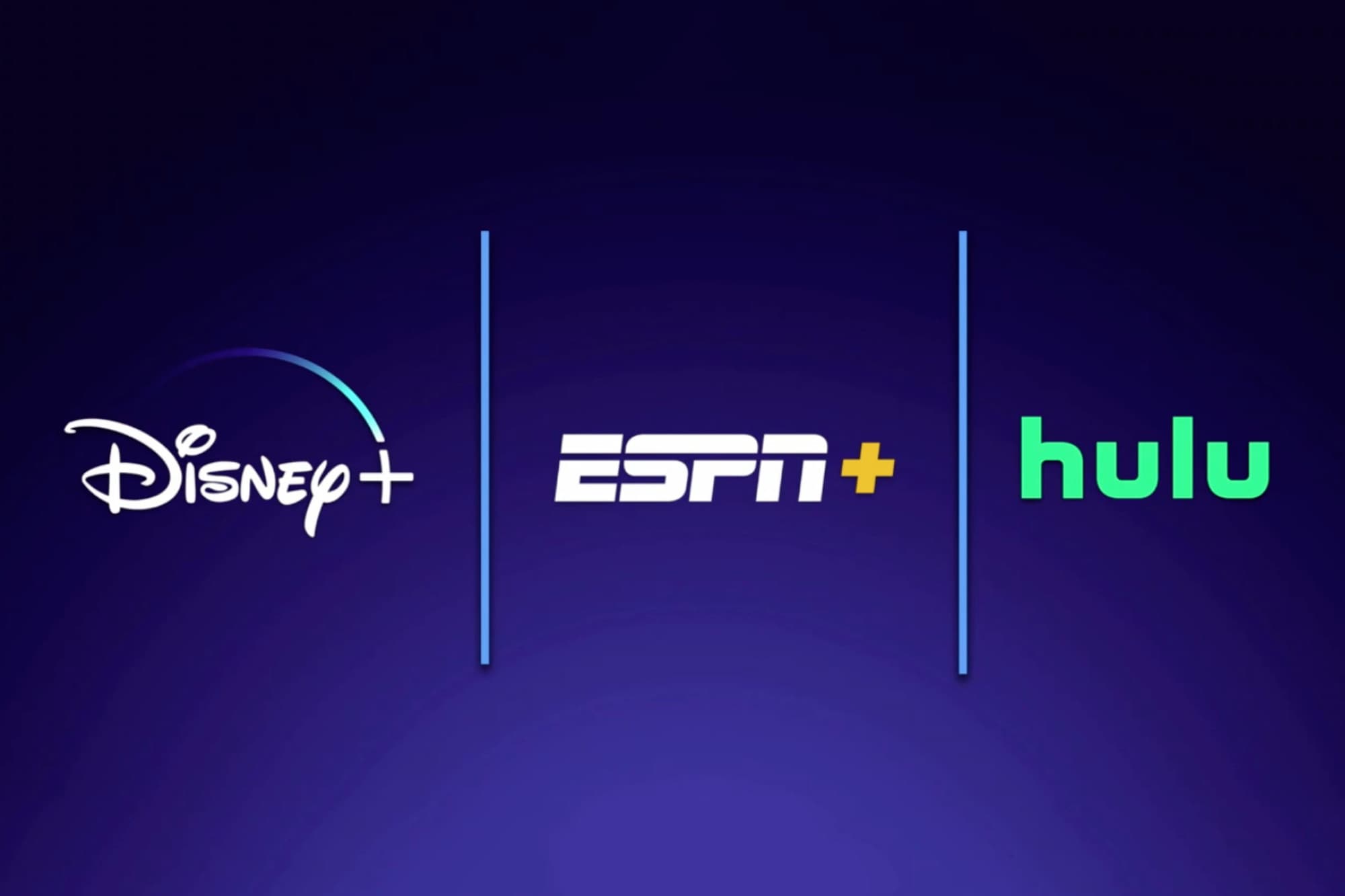 DISNEY PLUS +