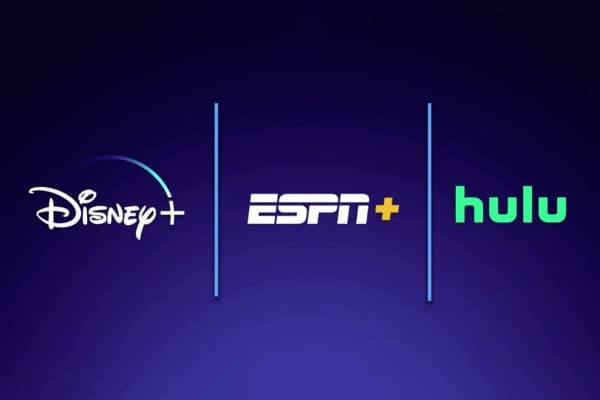DISNEY PLUS +