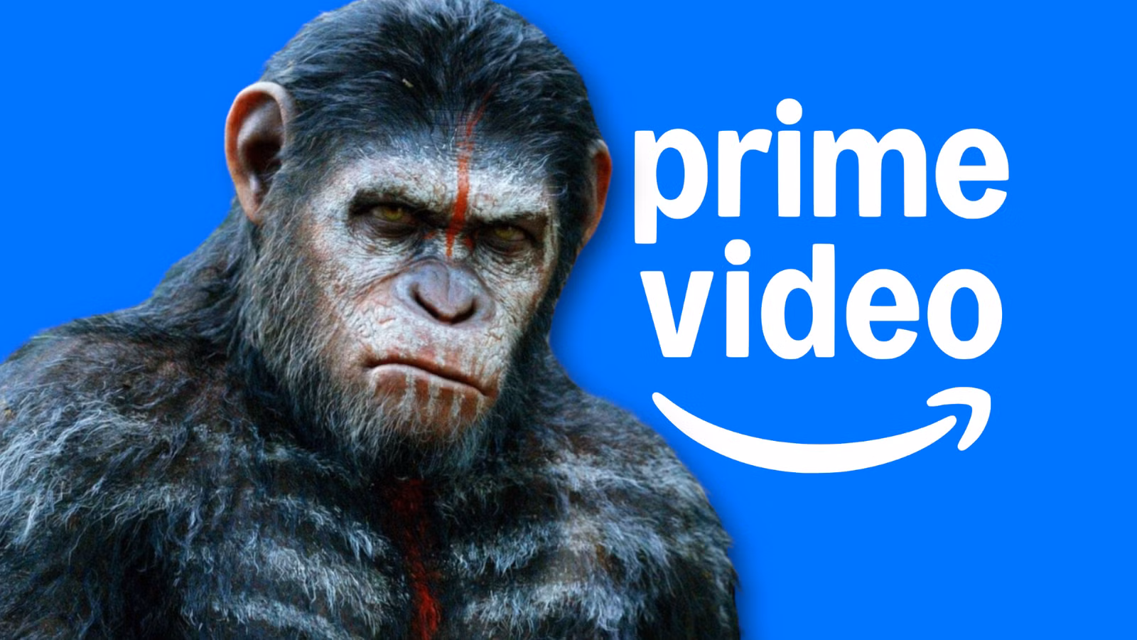 AMAZON PRIME VIDEO